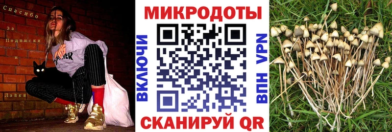 Галлюциногенные грибы мицелий  mega   Нягань 